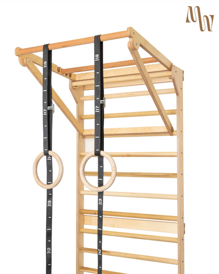 Swedish Ladder Stall Bars & Pull-Up Dip Bar