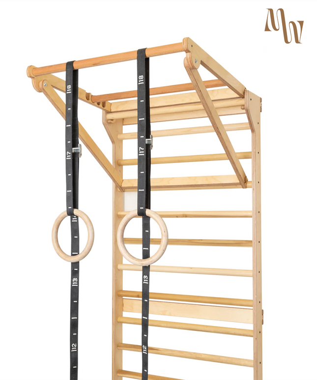 Swedish Ladder Stall Bars & Pull-Up Dip Bar