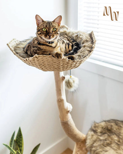 Branch & Basket Cat Tree | 1 Basket