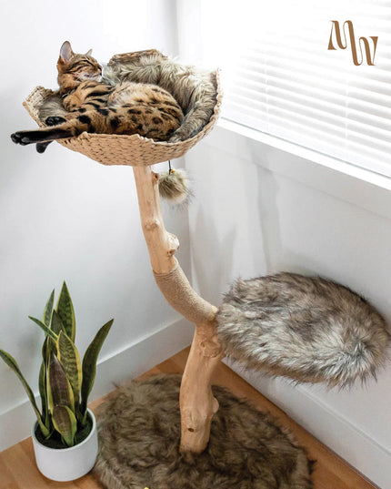 Branch & Basket Cat Tree | 1 Basket