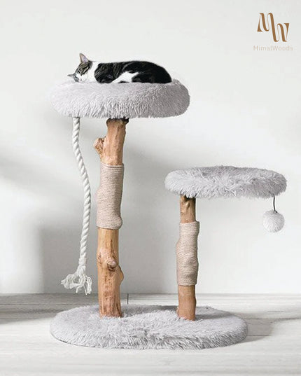 Dual Cat Tower