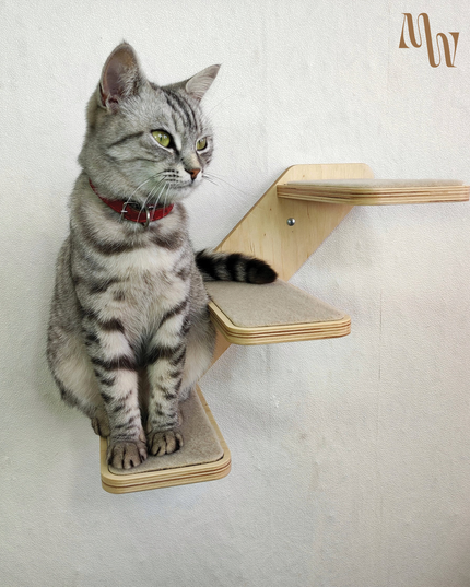 Minimal Cat Ladder