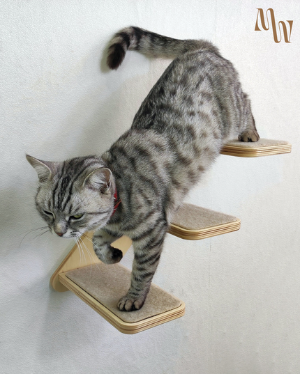 Minimal Cat Ladder