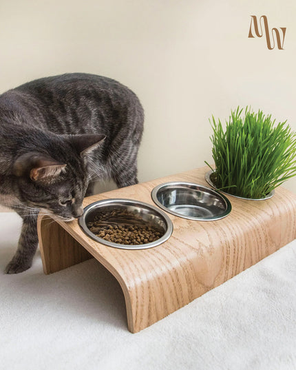 ErgoBowl Station for Pets