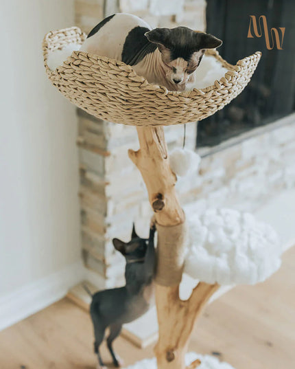 Branch & Basket Cat Tree | 1 Basket