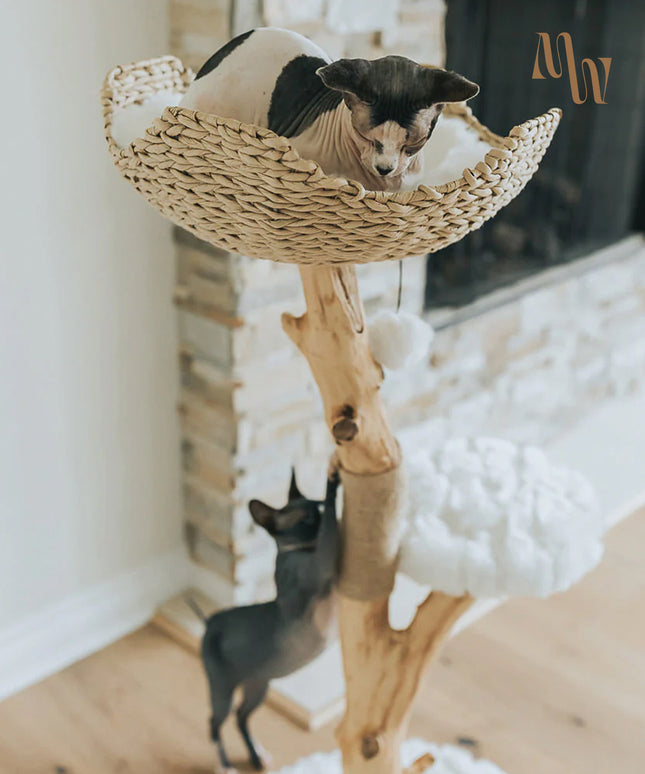 Branch & Basket Cat Tree | 1 Basket