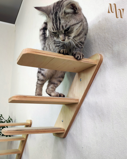 Minimal Cat Ladder