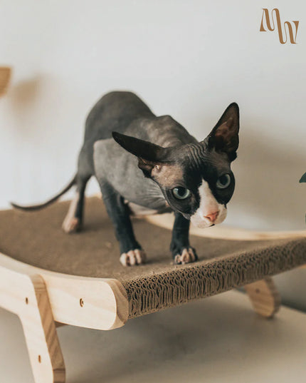 3-in-1 Cat Scratcher & Lounger