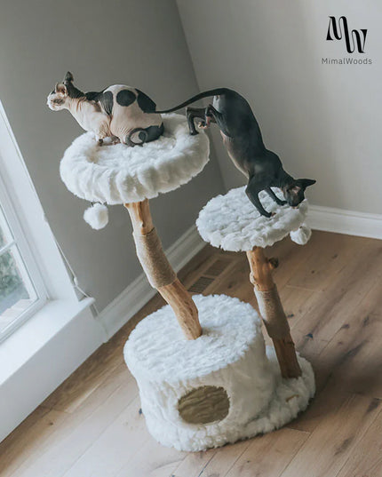 Dual Haven Cat Tower