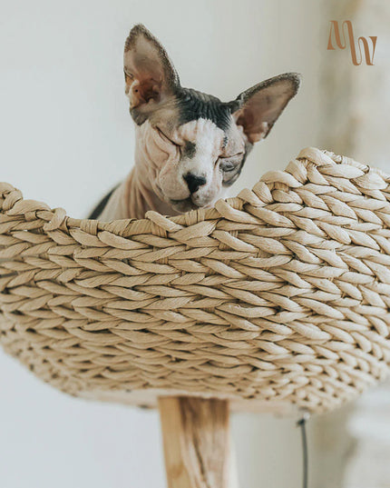 Branch & Basket Cat Tree | 1 Basket