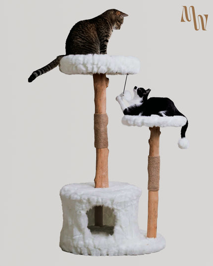 Dual Haven Cat Tower