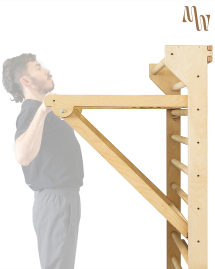 Swedish Ladder Stall Bars & Pull-Up Dip Bar