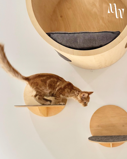 Minimalist Circular Cat Wall Furniture