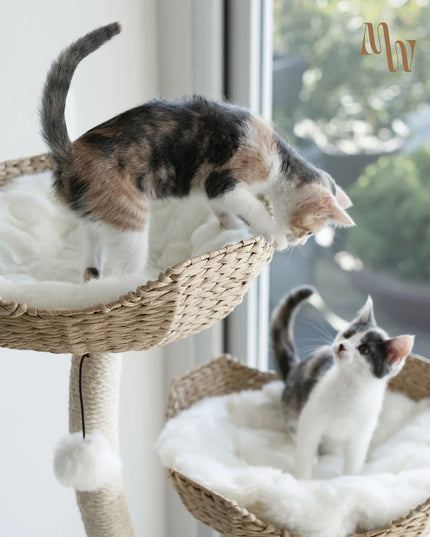 Branch & Basket Cat Tree | 3 Baskets