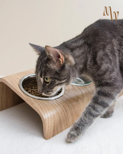 ErgoBowl Station for Pets