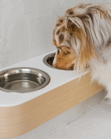 Waterproof Wall Mounted Dog Bowl Holder