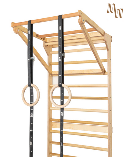 Swedish Ladder Stall Bars & Pull-Up Dip Bar