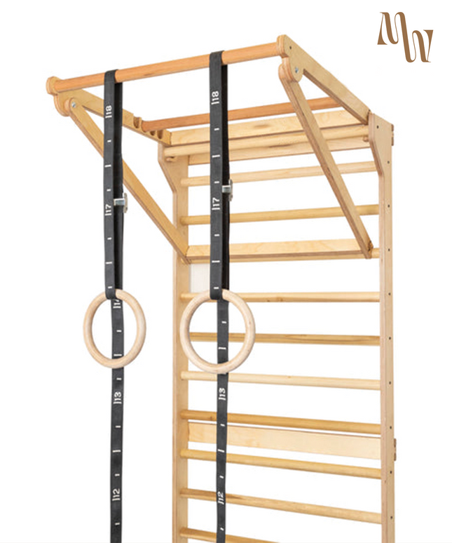 Swedish Ladder Stall Bars & Pull-Up Dip Bar