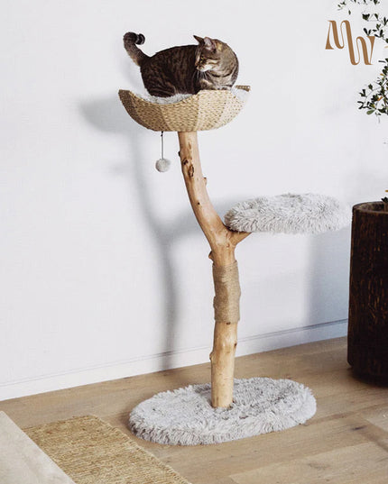 Branch & Basket Cat Tree | 1 Basket