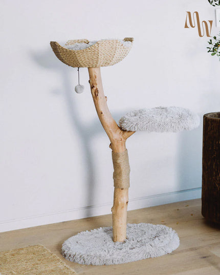 Branch & Basket Cat Tree | 1 Basket