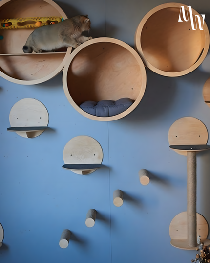 Minimalist Circular Cat Wall Furniture