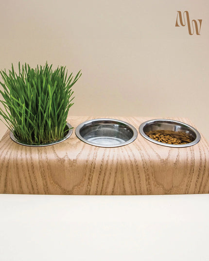 ErgoBowl Station for Pets