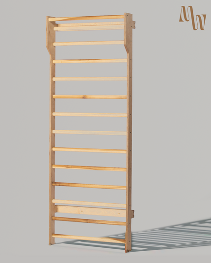 Swedish Ladder Stall Bars & Pull-Up Dip Bar