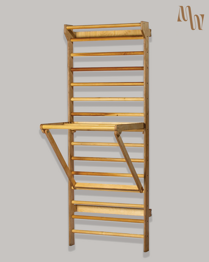 Swedish Ladder Stall Bars & Pull-Up Dip Bar